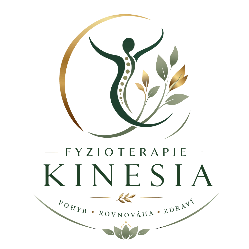 Logo Fyzioterapie Kinesia